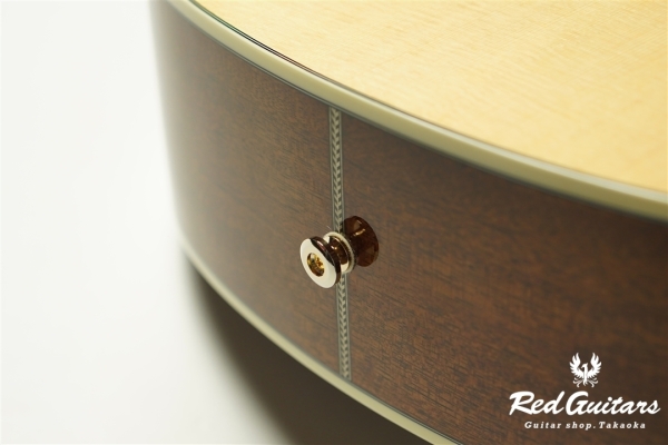 F120-GA Sitka Spruce / African Mahogany